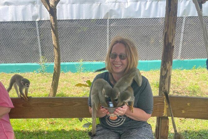 Half Day Puerto Plata City Tour and Monkey Home Visit - Upper Puerto Plata views: the payoff for the ride