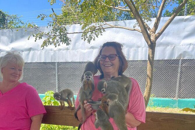 Half Day Puerto Plata City Tour and Monkey Home Visit - Price and value: is $81 a good deal?