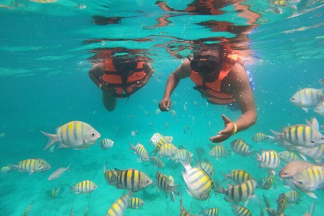 Half-Day Snorkeling Cruise and Natural Pool with Open Bar - Key highlights