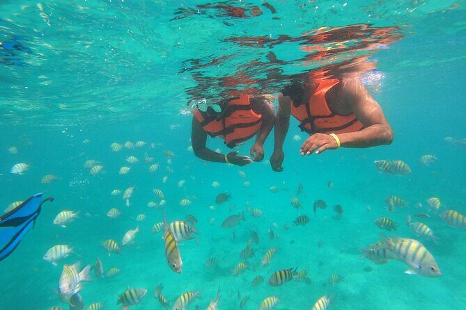 Half-Day Snorkeling Cruise and Natural Pool with Open Bar - Best fit: who will love this and who should reconsider