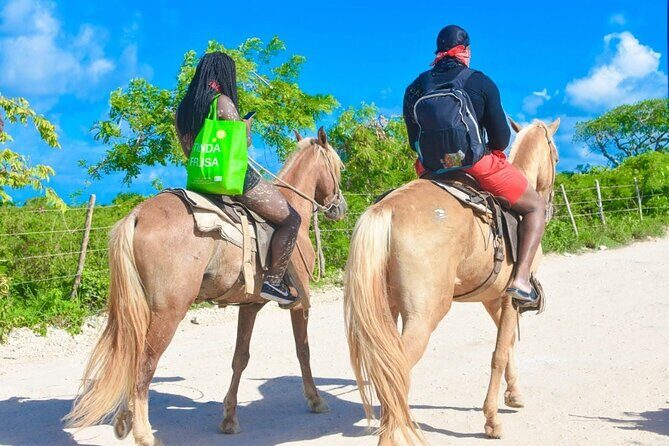 Horseback riding along Macao beach from Punta Cana - Playa Macao on horseback: walk, trot, or a full gallop