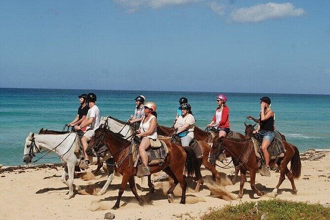 Horseback Riding on the Beaches of Punta Cana - Key highlights you’ll feel fast