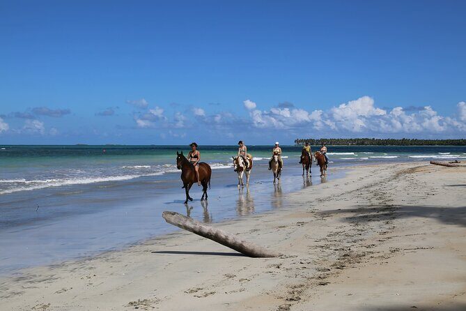 Horseback Riding on the Beaches of Punta Cana - Safety and comfort: the beach is the real challenge