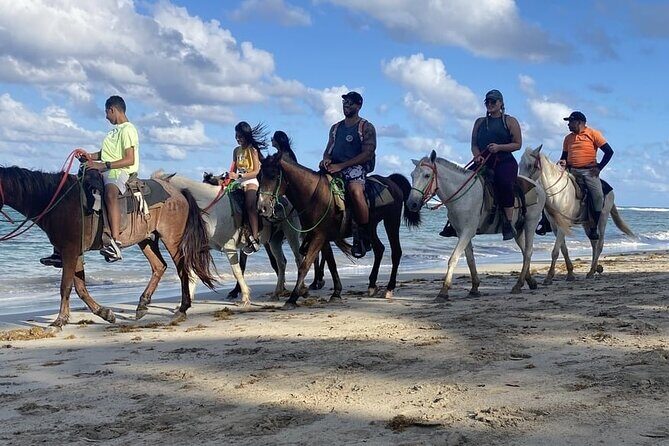 Horseback Riding on the Beaches of Punta Cana - Reliability check: what to do with operator contact issues