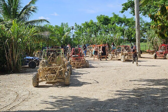 Horses, Buggy, and plantation in Chocaci Ranch - Key highlights to know before you go