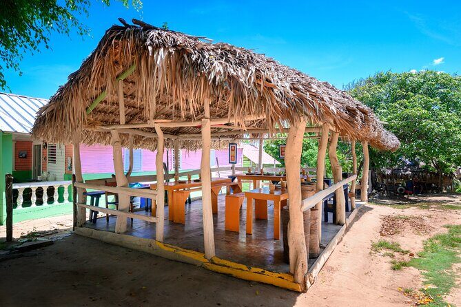 Immerse in Dominican Culture: Private Community Tour - How the Private Format Changes Your Pace