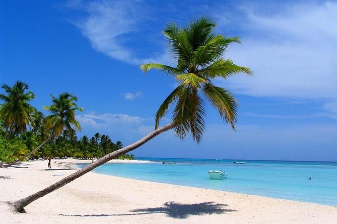 Isla Saona El Paraiso del Caribe - What I’d prioritize before you go