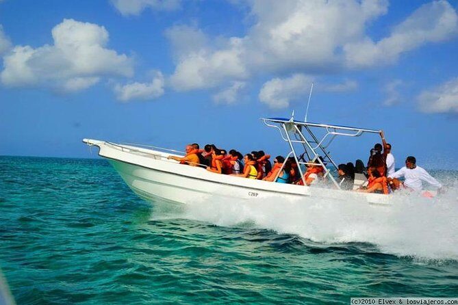 Isla Saona El Paraiso del Caribe - Simple tips to make your day better