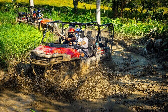 Jungle Buggies and Monkeyland from Punta Cana - Key Points Before You Go