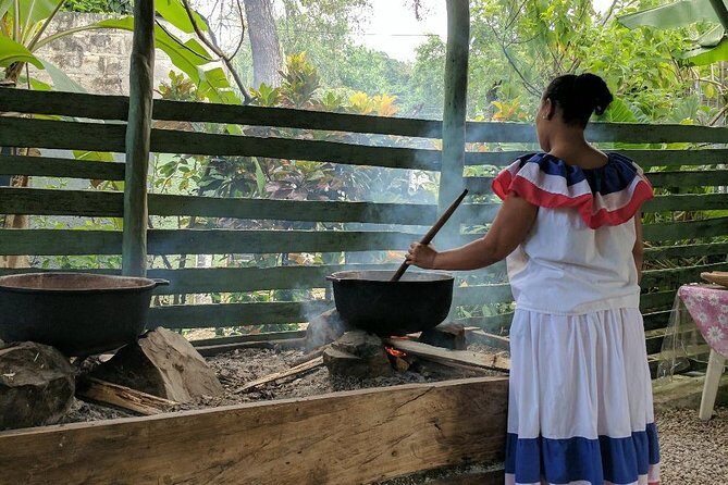 Jungle Buggies and Monkeyland from Punta Cana - Lunch, Water, and What to Pack for an 8-Hour Heat Day