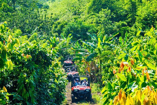 Jungle Buggies + Ziplines Adventures - 4x4 Jungle Buggies: driving through the mud (and how to get ready)