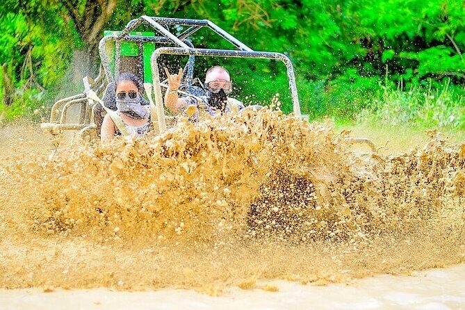 Jungle Buggy Adventure with Coffee and Chocolate Tasting - Key highlights before you go