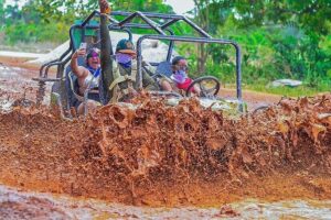 Jungle Buggy Adventure with Coffee and Chocolate Tasting - The hidden cenote swim: crystal-clear water and easy cooling