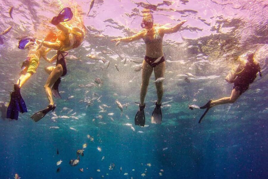 La Romana: Catalina Island Full-Day Snorkeling Tour - FAQ