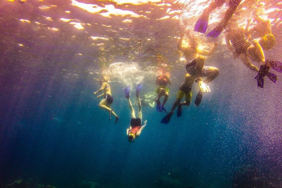 La Romana: Catalina Island Full-Day Snorkeling Tour - Drinks, dancing, and the ride back around 15:15