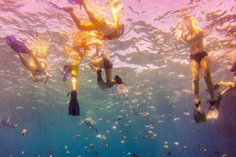 La Romana: Catalina Island Full-Day Snorkeling Tour - Catalina beach time on the west side: the payoff after snorkeling