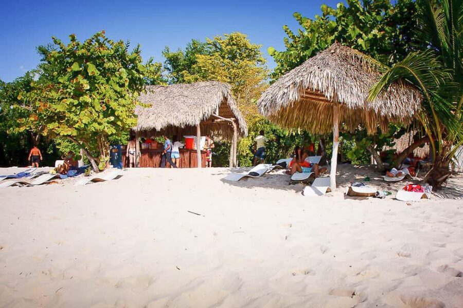 La Romana: Catalina Island Full-Day Snorkeling Tour - Who this tour is best for (and who should rethink it)