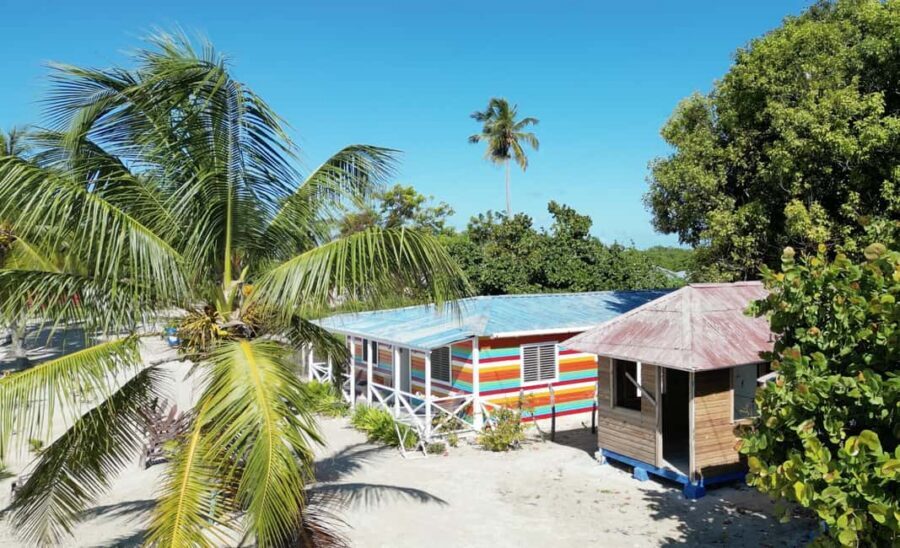 La Romana: Saona Crusoe VIP for cruise guests - Mangroves and sea turtles: protected nature, viewed from the right distance