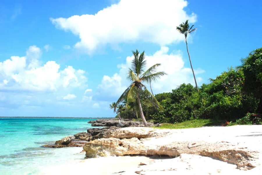 La Romana: Saona Crusoe VIP for cruise guests - Piscina Natural: starfish snorkeling on a sandbank