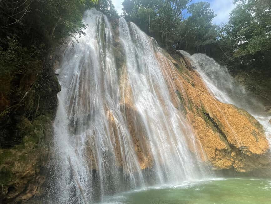Las Terrenas: El Limón Waterfall Trekking Tour in Samana - The jungle trek: shady steps, river crossings, and cacao/coffee early on