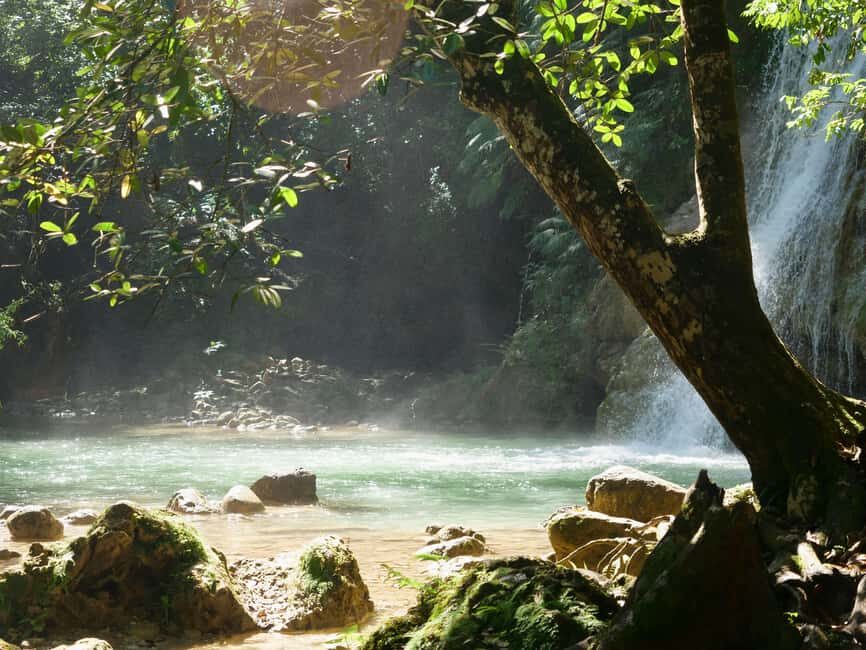 Las Terrenas: El Limón Waterfall Trekking Tour in Samana - Transportation and comfort: what to expect from the ride