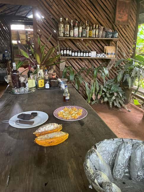 Las Terrenas: Private Coffee Trail ATV Tour in Samana - The classic mountain farm stop: organic farming, plants, and a family welcome
