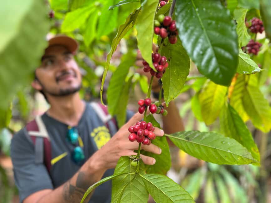 Las Terrenas: Private Coffee Trail ATV Tour in Samana - Meeting Vincent at KITEWORLD inside Hotel Afreeka