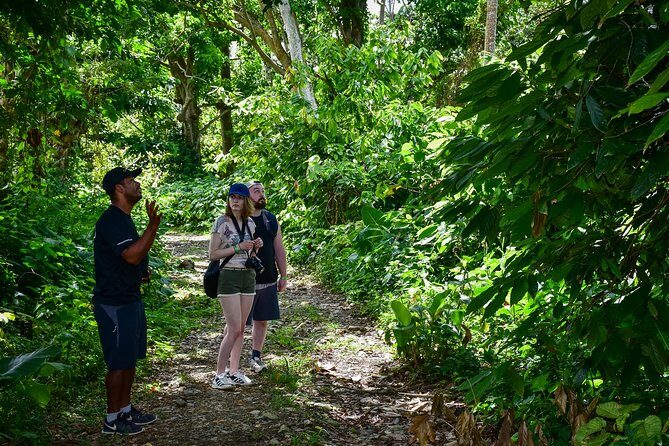 Let's do hiking in Punta Cana - The 4-Hour Rhythm: Drive, Trail, Then Coffee and Chocolate