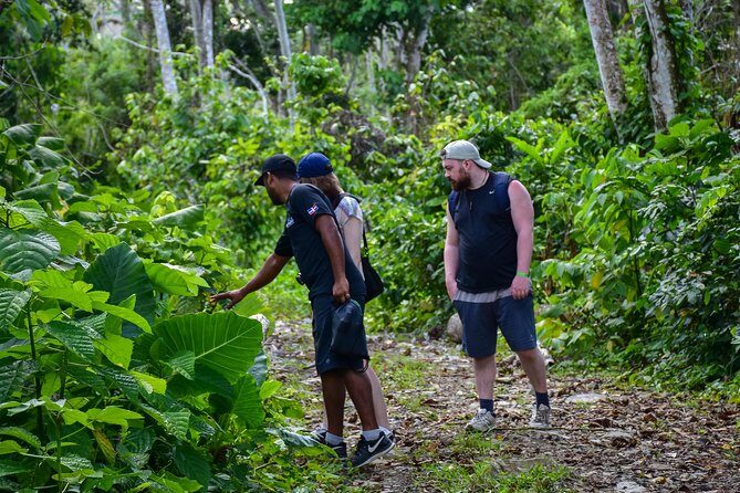 Let's do hiking in Punta Cana - Vista Alegre to Anamuya: What the Trail Actually Feels Like