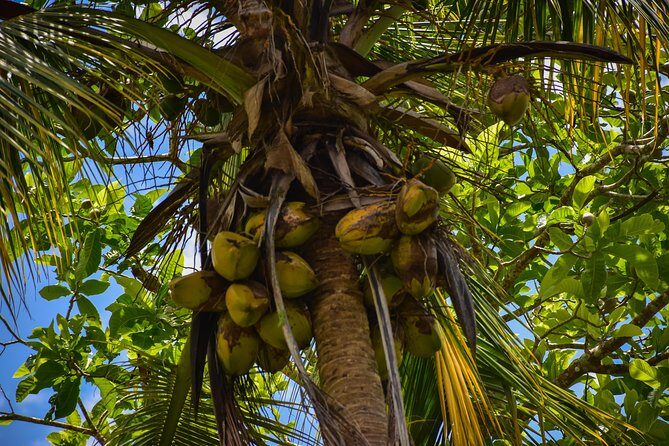 Let's do hiking in Punta Cana - Mud, Water Crossings, and the Real Rain Plan