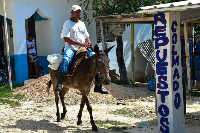 Let's do hiking in Punta Cana - The Wildlife and Plant Lesson You’ll Remember