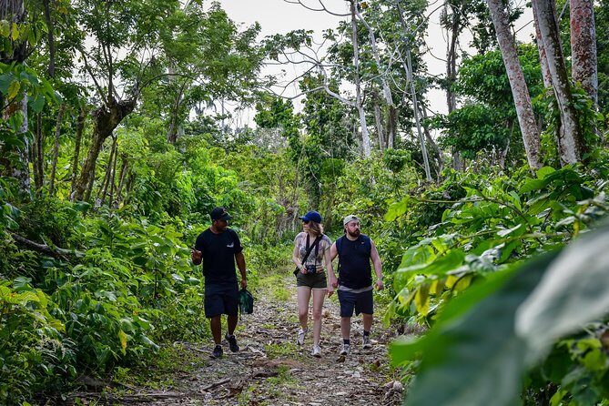 Let's do hiking in Punta Cana - Anamuya River: The Nice Stop With a Hard Edge