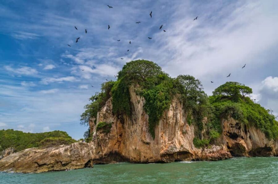 Los Haitises: Boat + Lunch at the beach & Natural pools - Price and Value: Is $65 Worth an 8–11 Hour Day?
