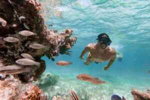 Marinarium Snorkeling Cruise from Punta Cana - Cabeza de Toro coastline cruise: views, onboard energy, and social time