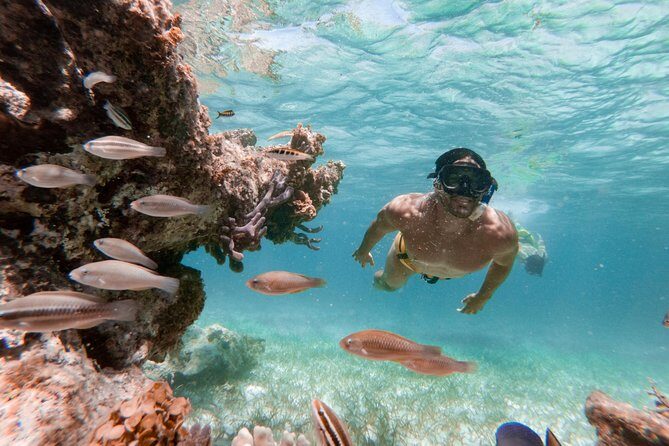 Marinarium Snorkeling Cruise from Punta Cana - Cabeza de Toro coastline cruise: views, onboard energy, and social time