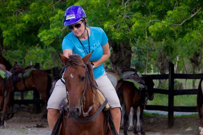 Mega Zip and Ride in Dominican Countryside - Snacks, fruit, and soft drinks: the simple payoff after adrenaline