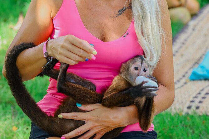 Monkey House VIP Experience with 4 species of monkeys, Punta Cana - Key highlights to know before you go