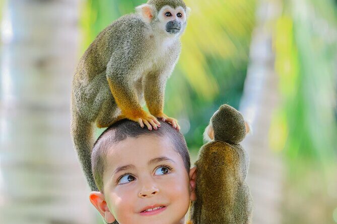 Monkey House VIP Experience with 4 species of monkeys, Punta Cana - Feeding fruit like you belong there
