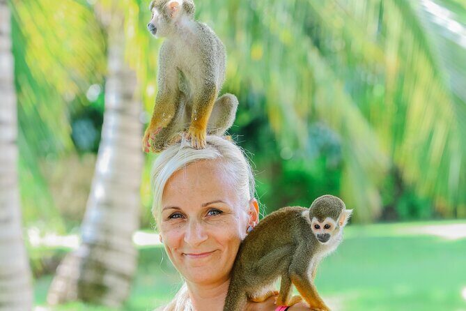 Monkey House VIP Experience with 4 species of monkeys, Punta Cana - The professional photo and video shoot: worth it or not