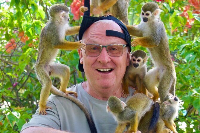 Monkey House VIP Experience with 4 species of monkeys, Punta Cana - Entering the experience: what happens when the phones go away