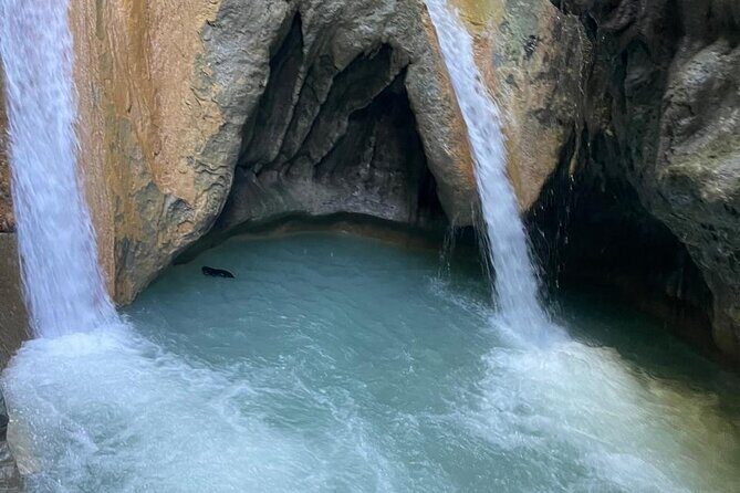 Monkey Tour Interaction and Damajagua waterfalls in Puerto Plata. - Key Points to Know Before You Go