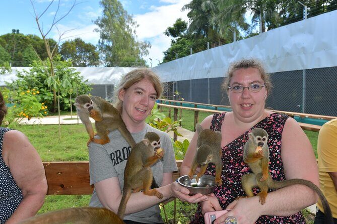 Monkey Tour Interaction and Damajagua waterfalls in Puerto Plata. - Monkey and Water in the Same Puerto Plata Day