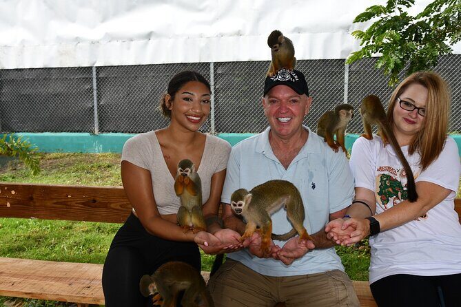 Monkey Tour Interaction and Damajagua waterfalls in Puerto Plata. - Damajagua Waterfalls: The Hike, the Pools, and the Slides