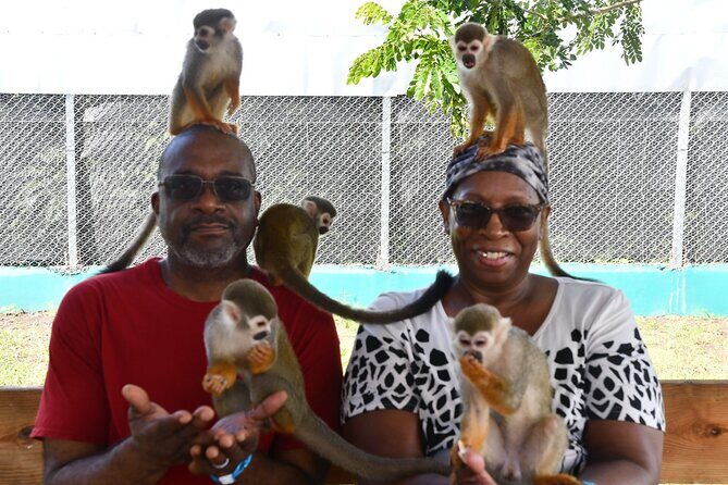 Monkey Tour Interaction and Damajagua waterfalls in Puerto Plata. - Photography Options: Get the Shots Without Stress