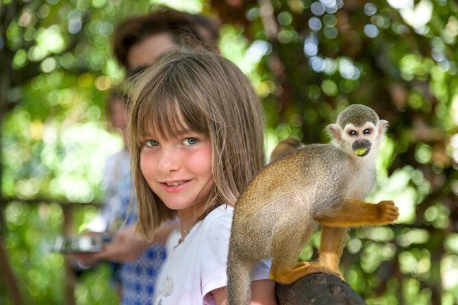 Monkeyland and Plantation Safari from La Romana - Getting between sites in an open-air safari truck