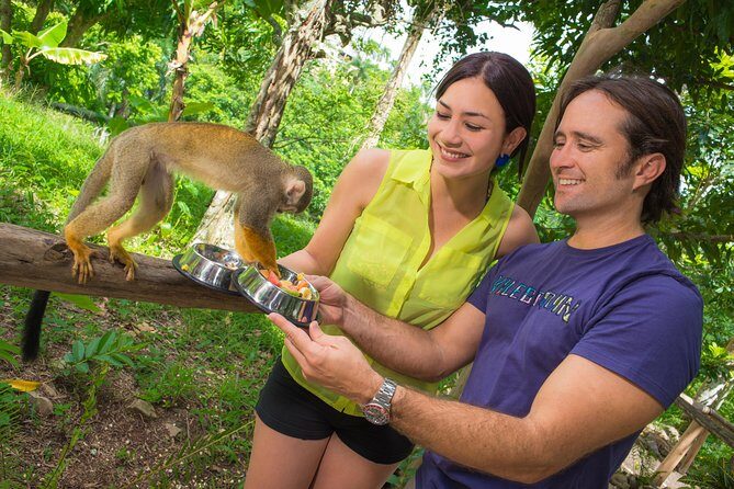 Monkeyland and Plantation Safari from La Romana - Your guide, your pace: how staff shapes the day