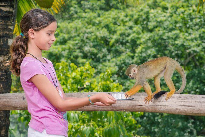 Monkeyland and Plantation Safari from La Romana - Price and value: is $95 a good deal from La Romana?