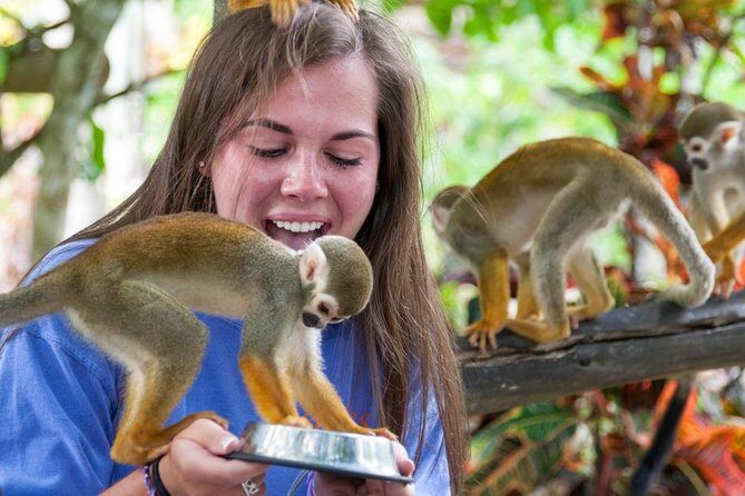 Monkeyland and Plantation Safari from La Romana - Plantation-style tastings: fruit, roasted coffee, and cocoa culture