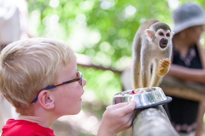 Monkeyland and Zipline Adventure from Puerto Plata - Ziplining and Monkeyland in Cabarete: What Makes This Combo Work