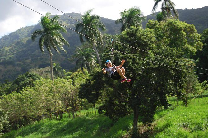 Monkeyland and Zipline Adventure from Puerto Plata - Monkey Jungle Feeding: Squirrel Monkeys Up Close in the Forest